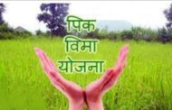 विमा कंपनीकडून शासन निर्णयाचे उलंघन