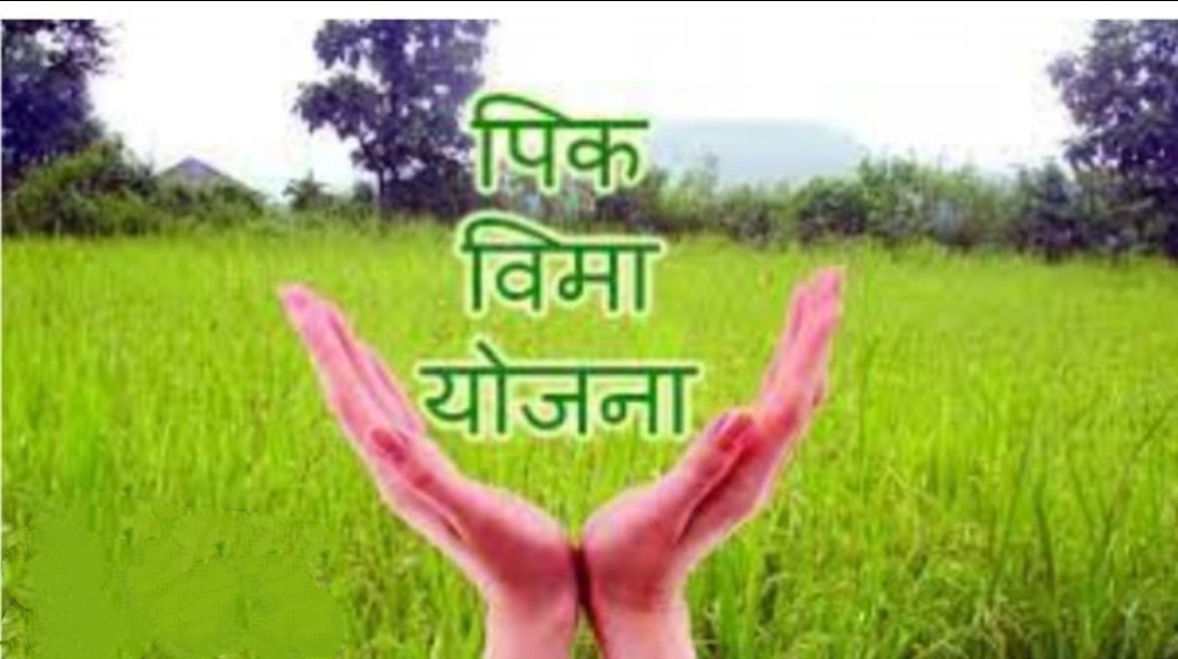 बजाज अलायन्स कडुन फळपिक विमाधारकाची फसवणुक