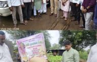 बाल गणेश उत्सव मंडळ लाडणापुर तर्फे वृक्षरोपण व महाआरती चे आयोजन