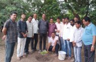 मा.सचिनभाऊ देशमुख यांचे वाढदिवसा निमित्त सोनाळा आश्रमशाळेत वृक्षारोपण