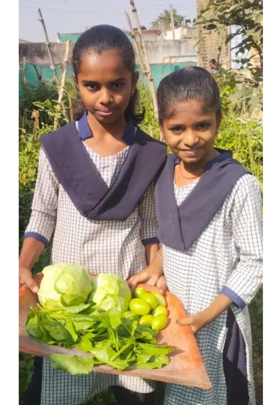 सोगोडा जिल्हा परिषद शाळेत परसबाग उपक्रमातून सेंद्रिय पालेभाज्यांचे उत्पादन